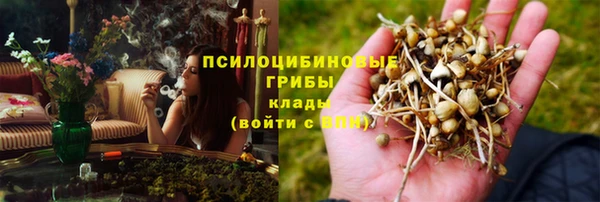 прущие крисы Алексин